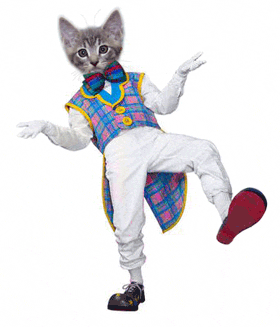 DancingClownCat.gif